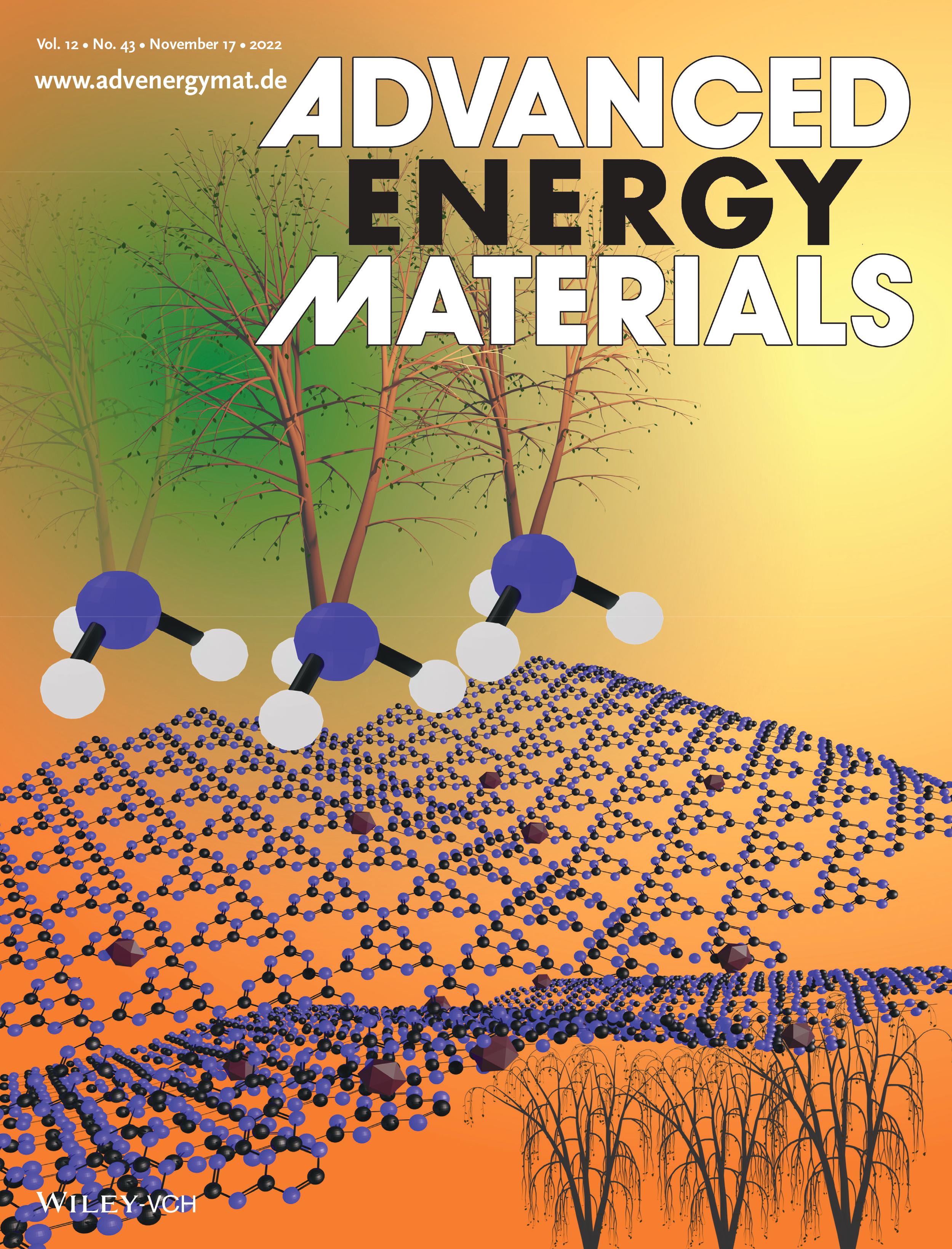 Adv. Energy Mater. DOI:10.1002/aenm.202270181