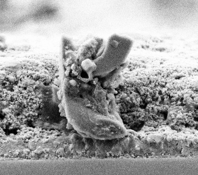 Picture of the momths october and november 2025