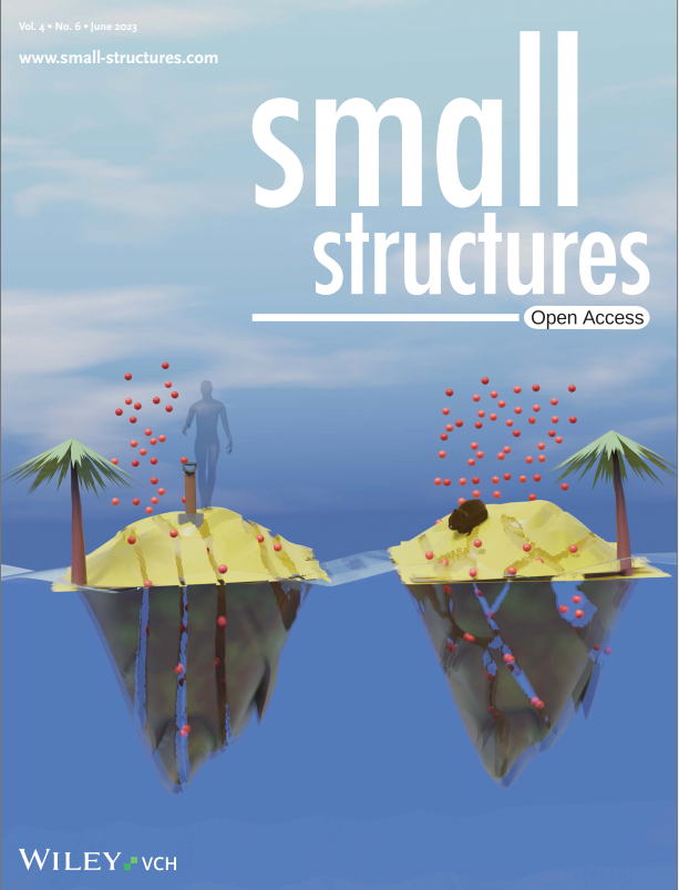 Small Structures Cover 2023